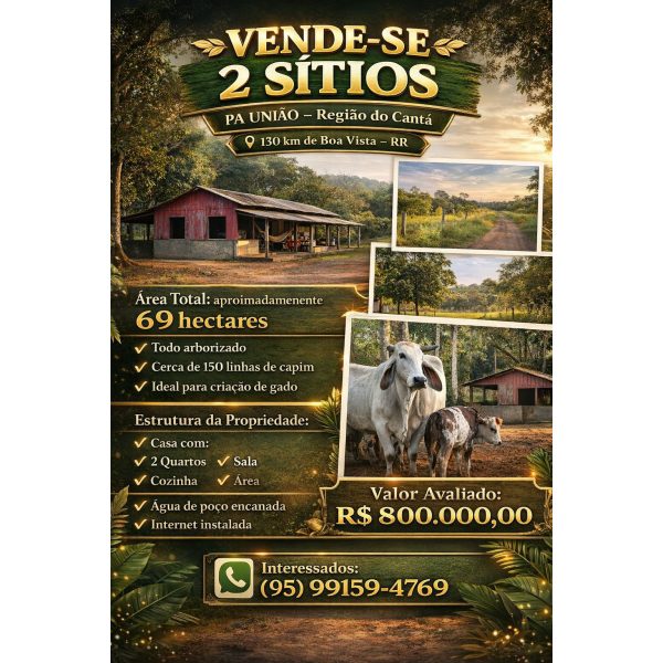 Vende-se 2 sítios