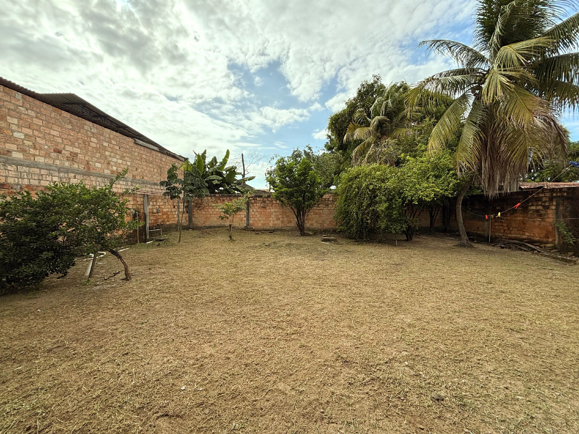 roçador de terreno e quintal