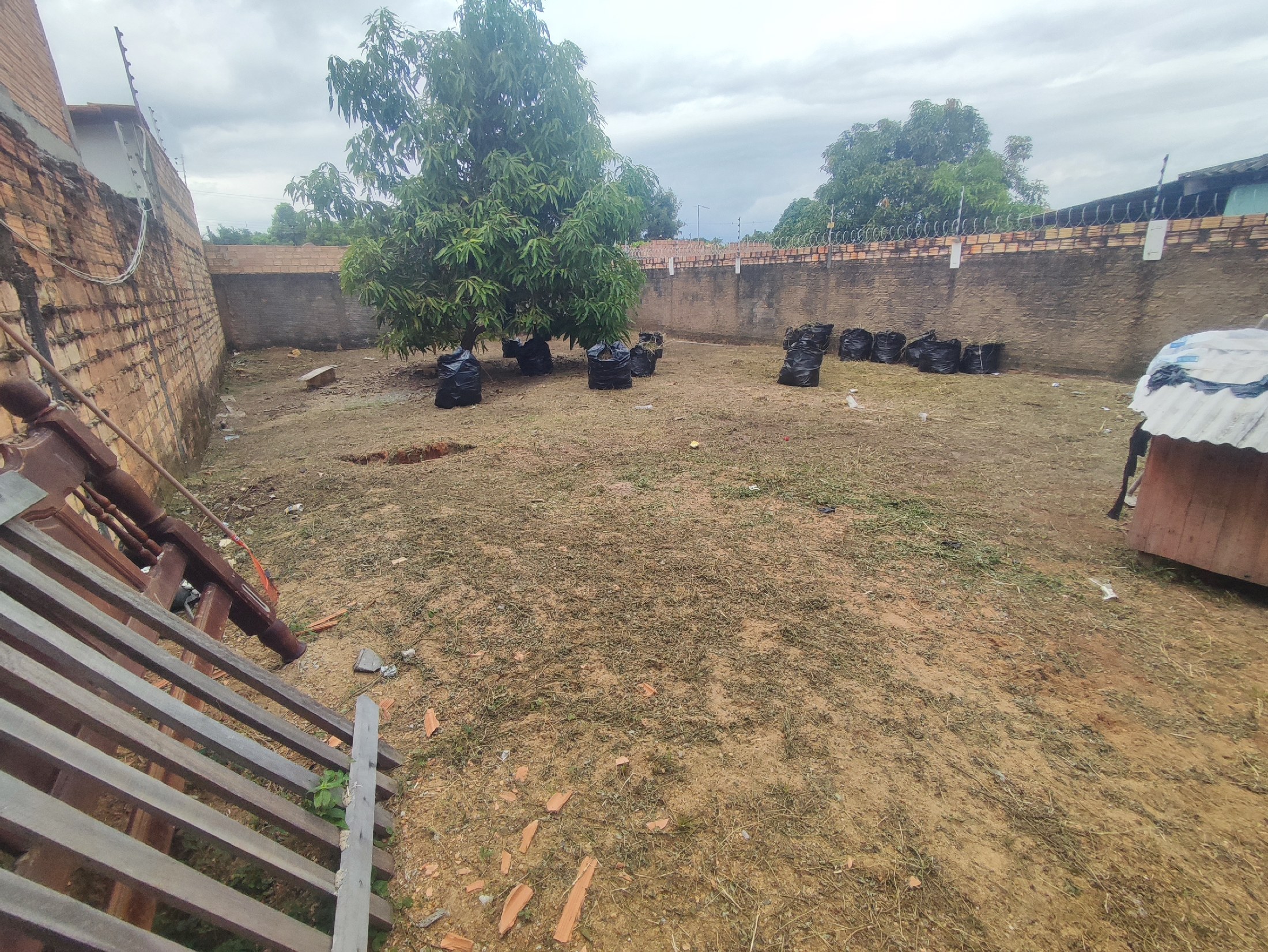 roçador de terreno e quintal