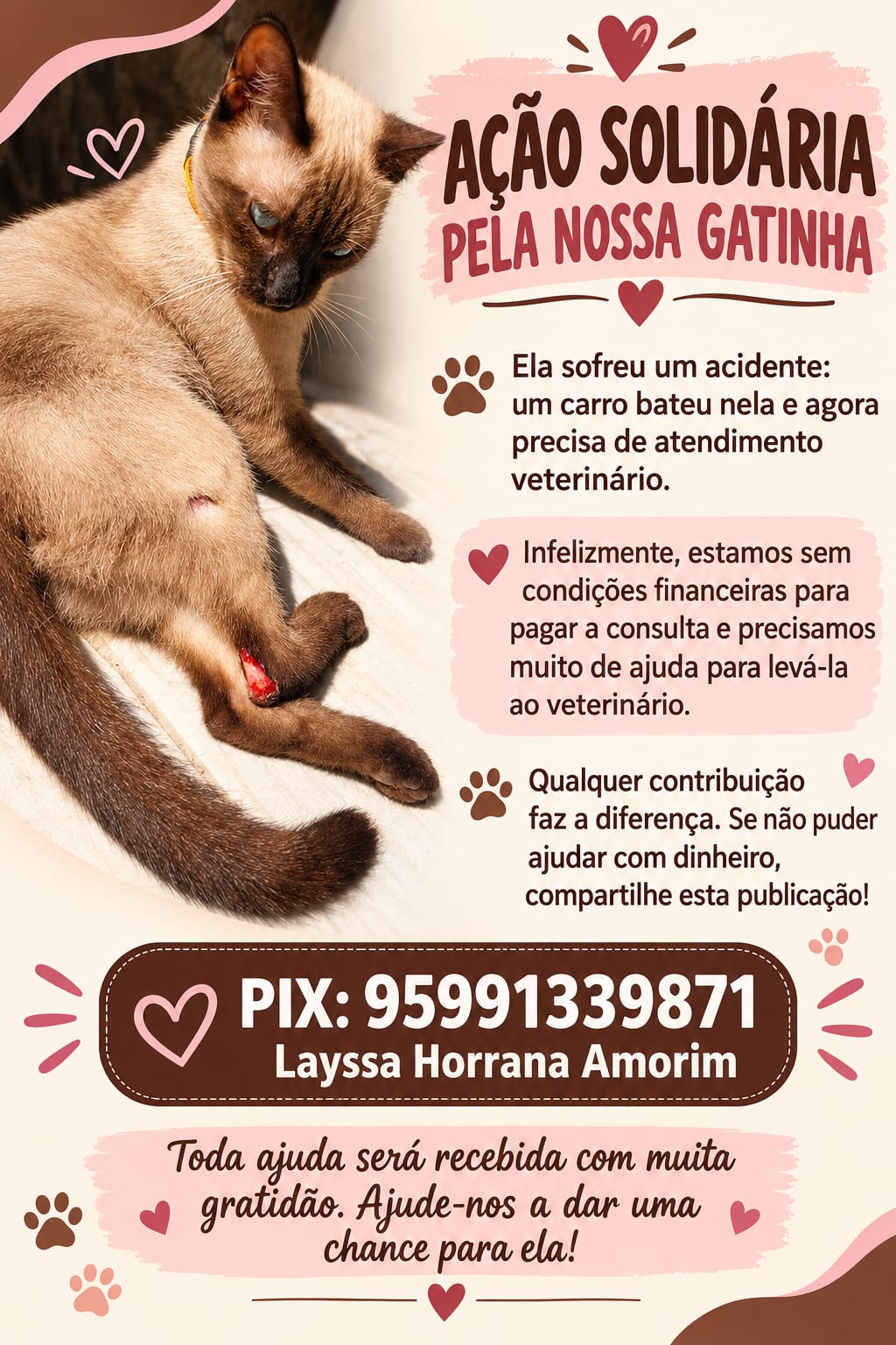 AJUDA SOLIDÁRIA